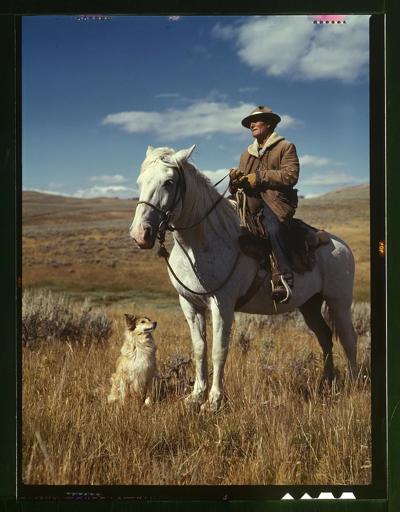モンタナ州の高原で馬に乗る羊飼いと犬の写真（Russell Lee, 1942）