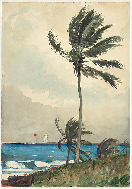 Winslow Homer『Palm Tree, Nassau』1898年の水彩画