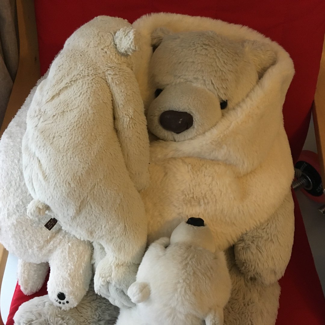 菅原裕輝 Instagram